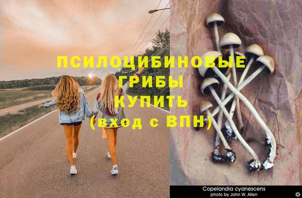 гидропоника Елабуга