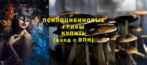 амф Заводоуковск