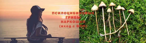 первитин Покровск