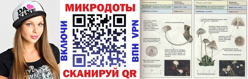 Псилоцибиновые грибы Psilocybine cubensis  Шилка 